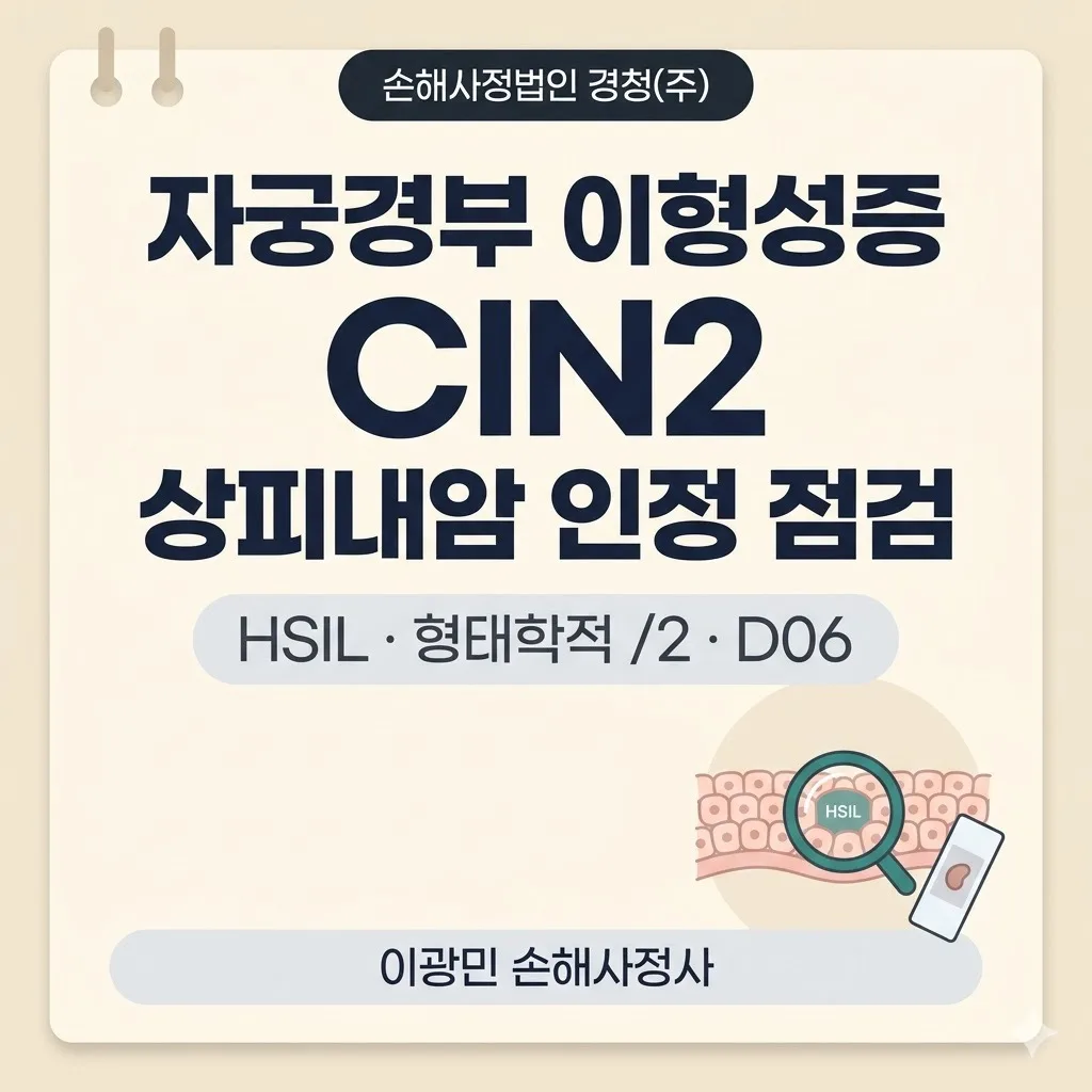 CIN2·HSIL 자궁경부 이형성증 N87.1: 상피내암 인정 여지 약관 해석 점검 가이드