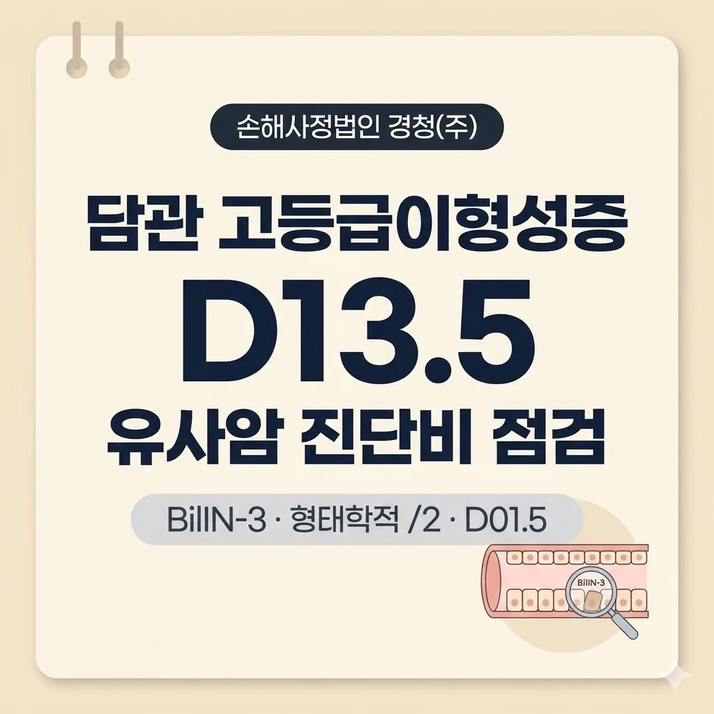담관 고등급이형성증 D13.5·유사암 진단비: BilIN-3·형태학적 /2 코드 해석 점검 가이드